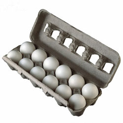 dozen eggs coupon