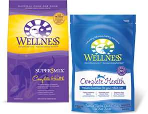 wellness