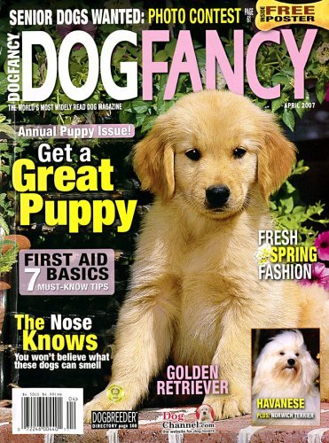 Dog-Fancy-6
