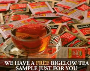 bigelow tea