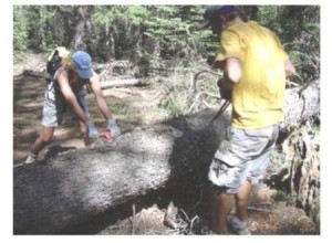 chainmate-saw hand chain saw