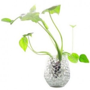 water-gel-beads water beads