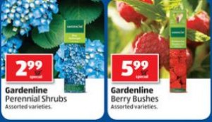 aldi weekly ad