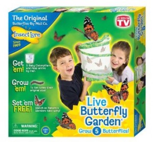 butterfly garden