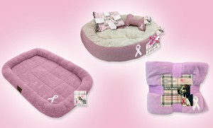 akc pet gear