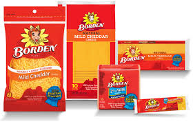 borden cheese product coupon