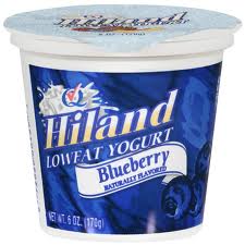 hiland yogurt - Frugal Fritzie